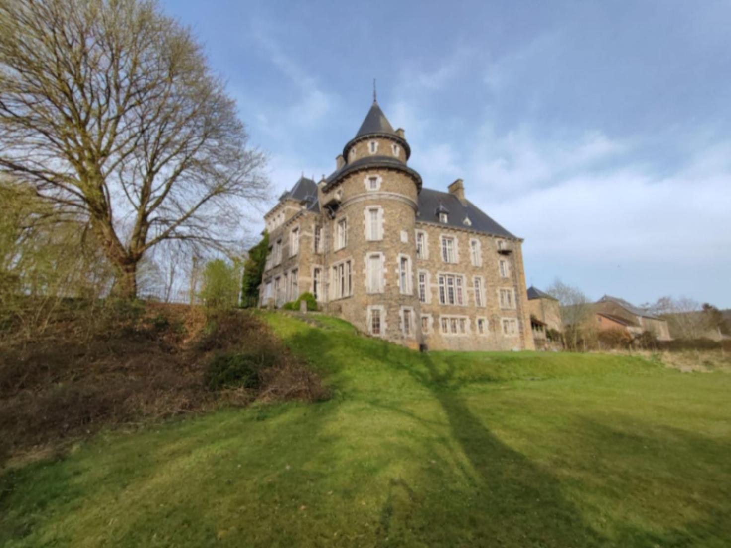 Вилла Le Petit Chateau De Blier Erezee Экстерьер фото