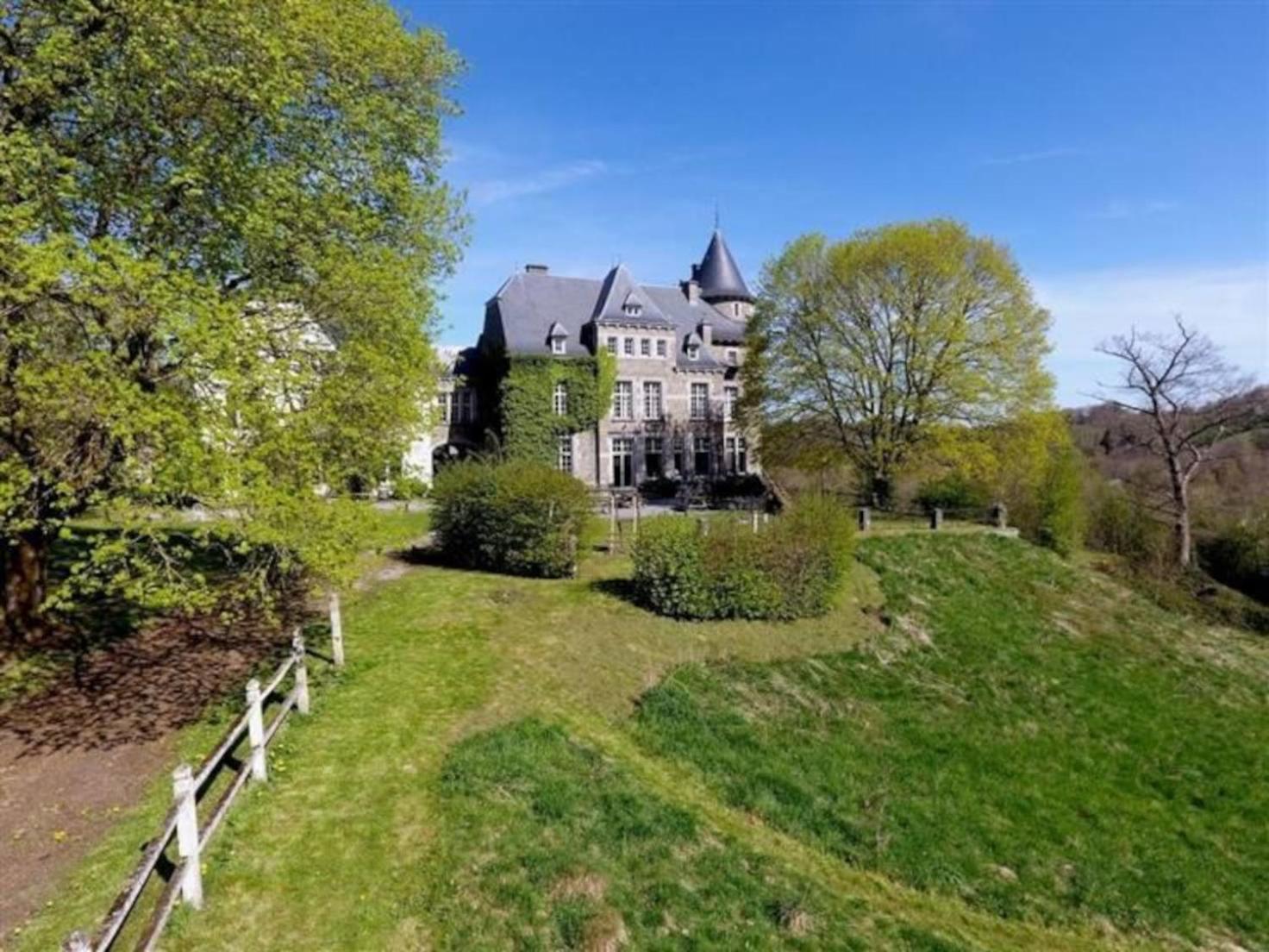 Вилла Le Petit Chateau De Blier Erezee Экстерьер фото
